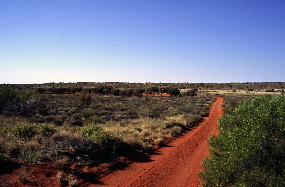 Straße im Outback