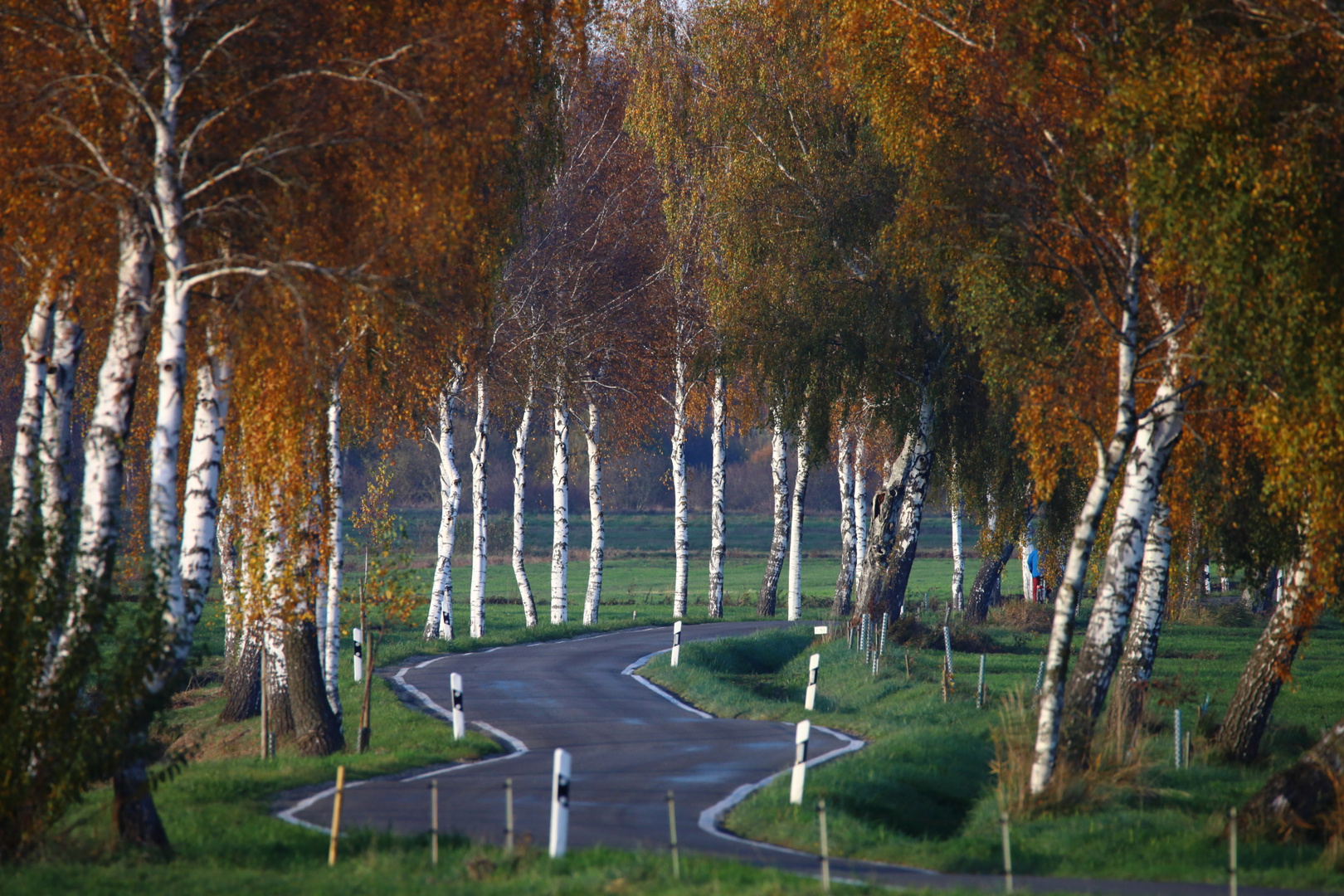 Straße im Pfrungener-Ried