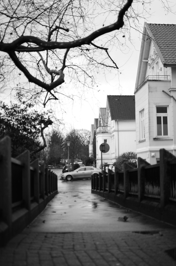 Straße im Regen