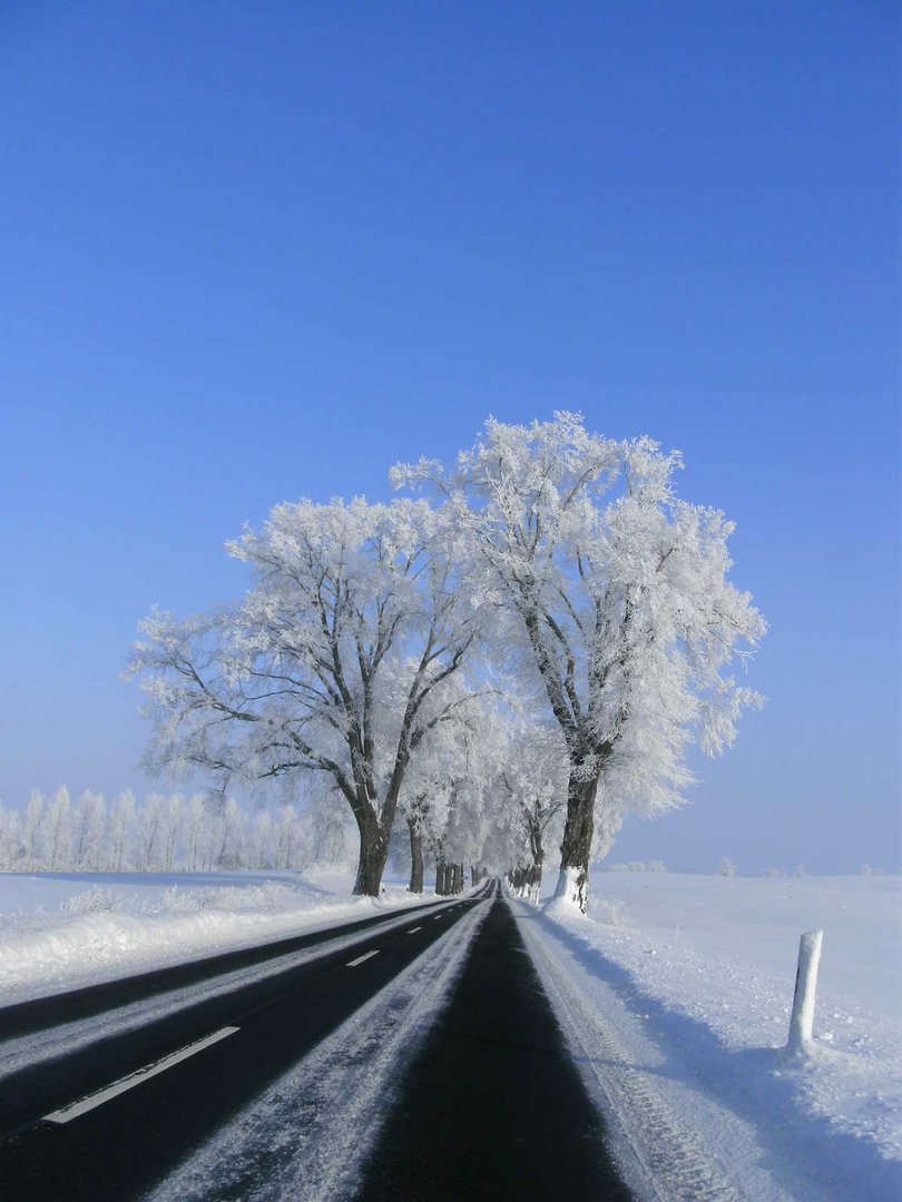 Straße im Schnee II