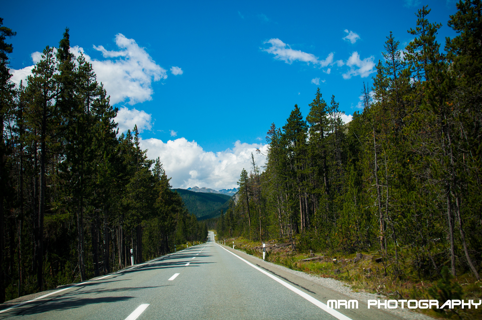 Strasse im Schweizerischen Nationalpark....