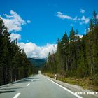 Strasse im Schweizerischen Nationalpark....