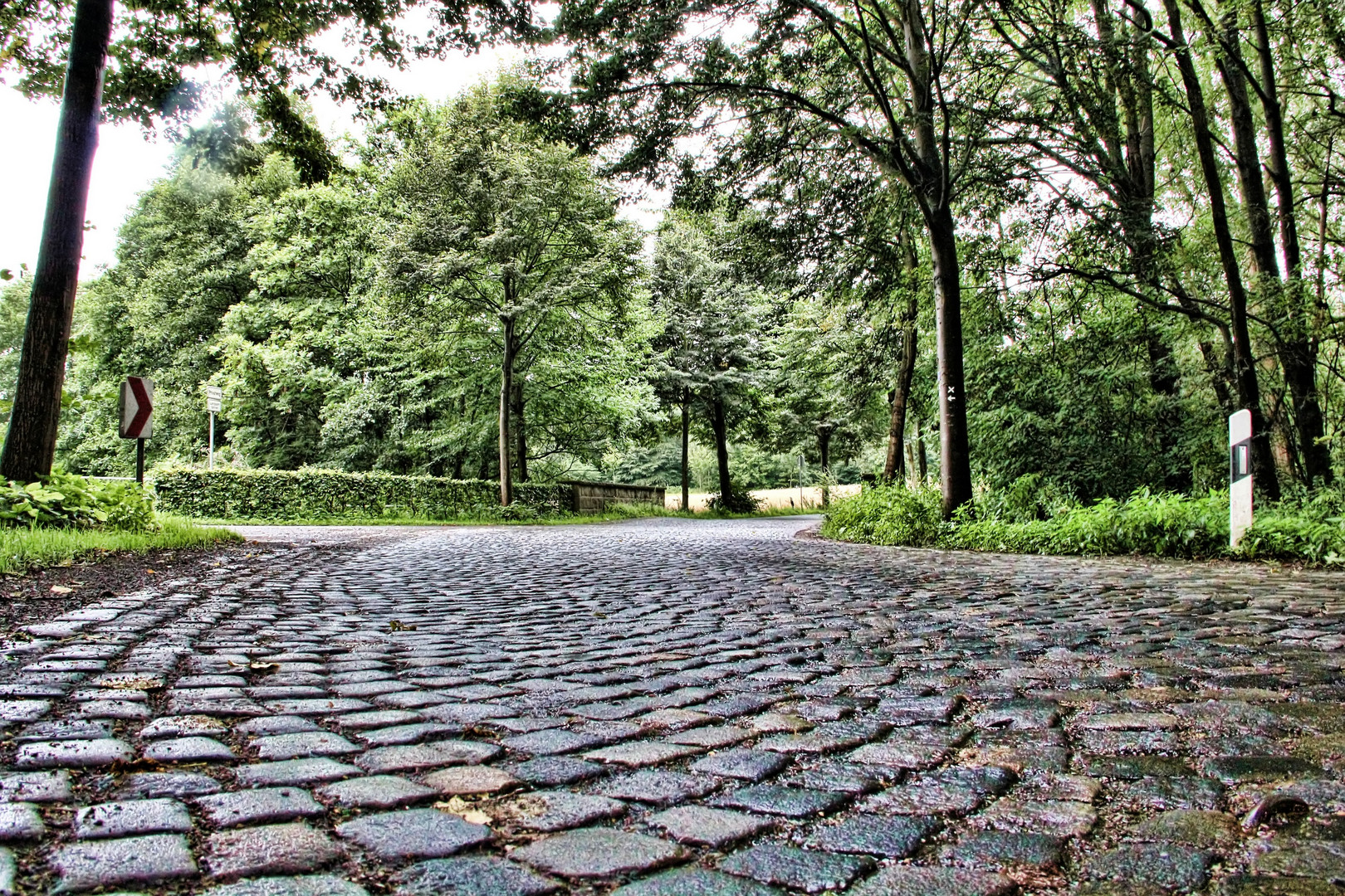 Strasse im Sommer der eigentlich ein Hebst ist.