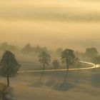 Straße im Sonnenaufgang