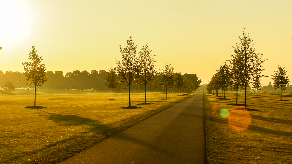 Strasse im strahlenden Morgenlicht