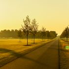 Strasse im strahlenden Morgenlicht