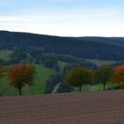 Strasse im Tal