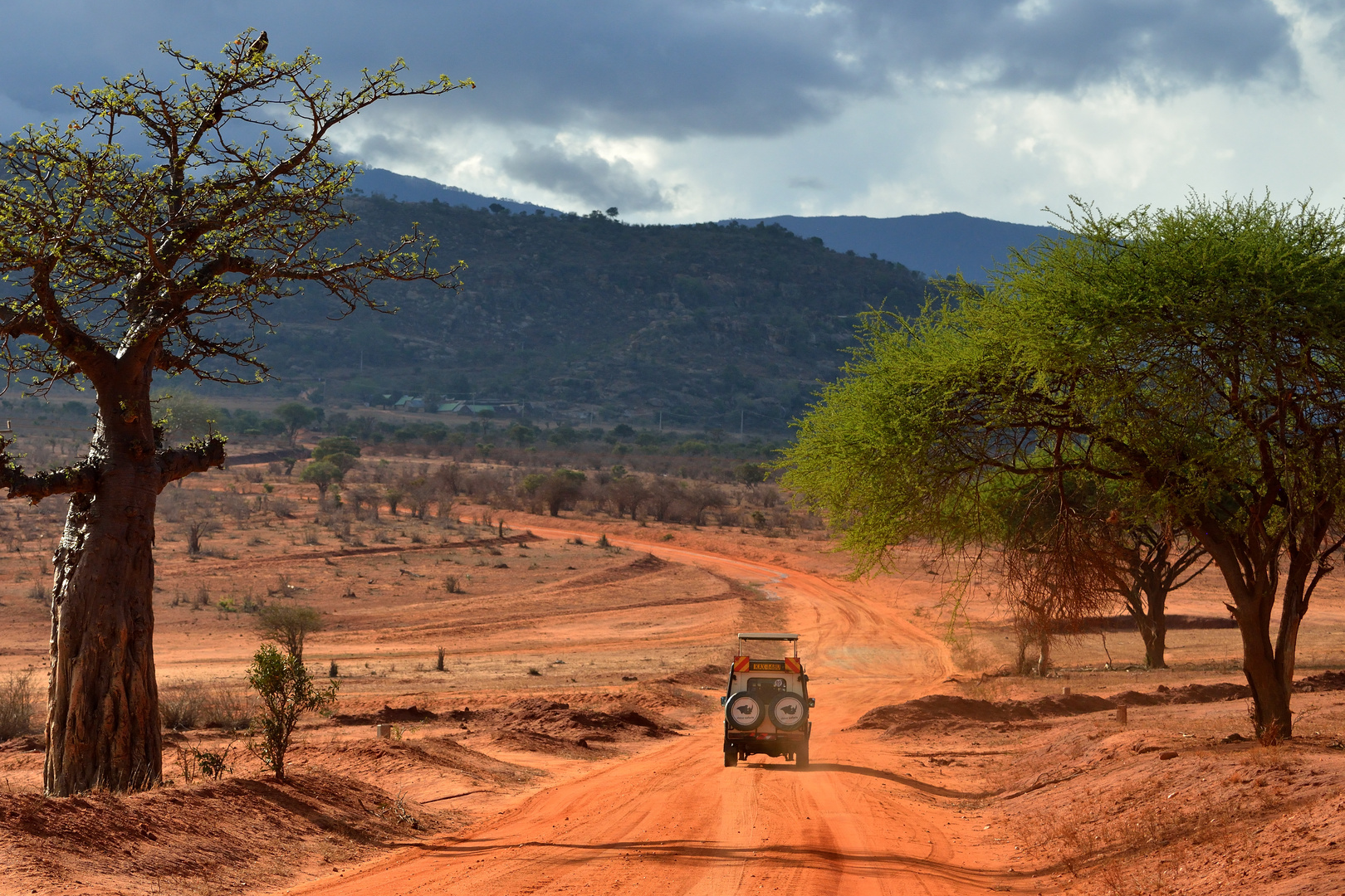 Straße im Tsavo-east NP 