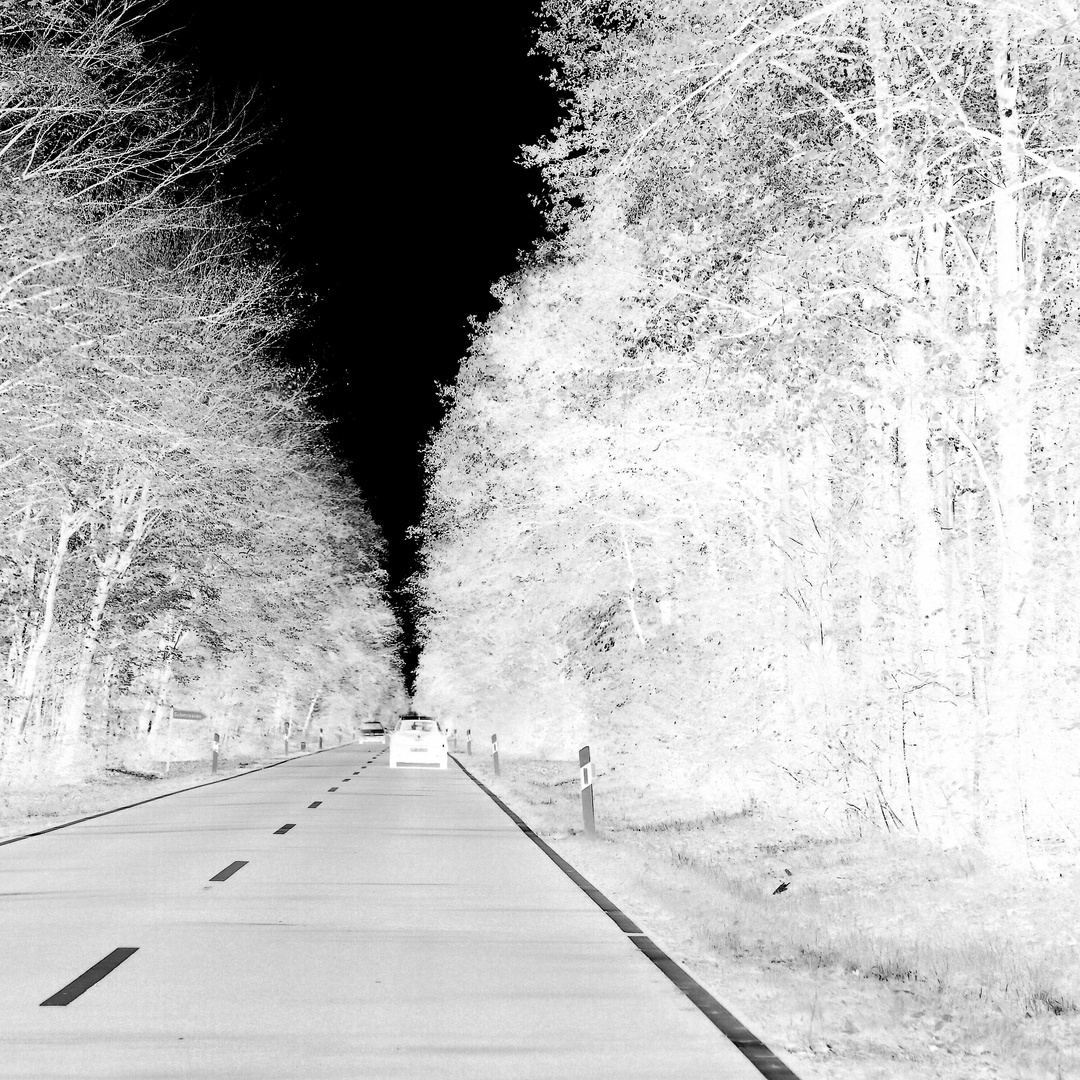 Straße im Wald