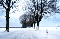 Strasse im Winter