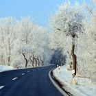 Straße im Winter