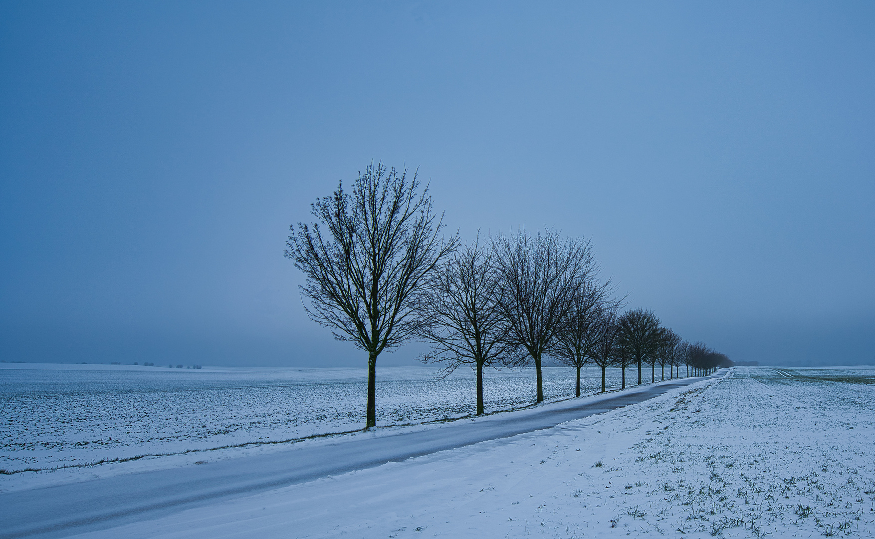 Strasse im Winter