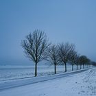 Strasse im Winter