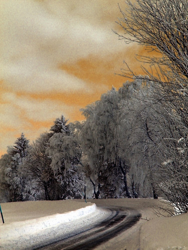 Straße im Winter bei Föllmar, Falschfarben