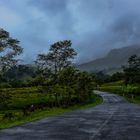 Strasse in Costarica