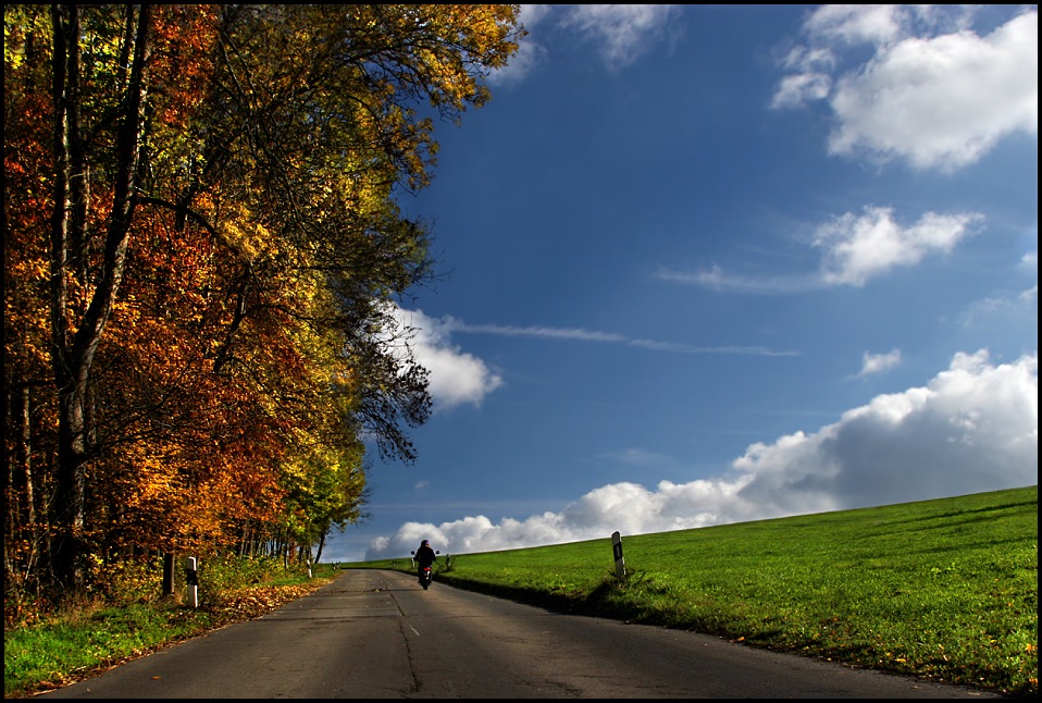 STRAßE IN DEN HERBST .......