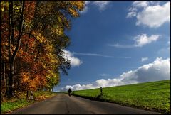 STRAßE IN DEN HERBST .......