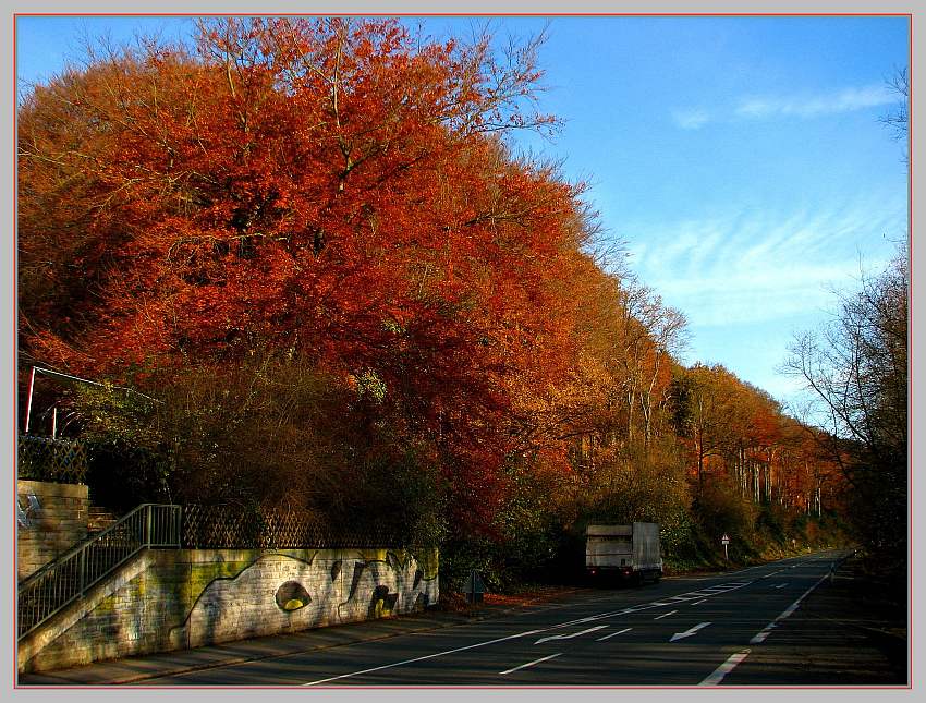 Strasse in den Herbst