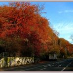 Strasse in den Herbst