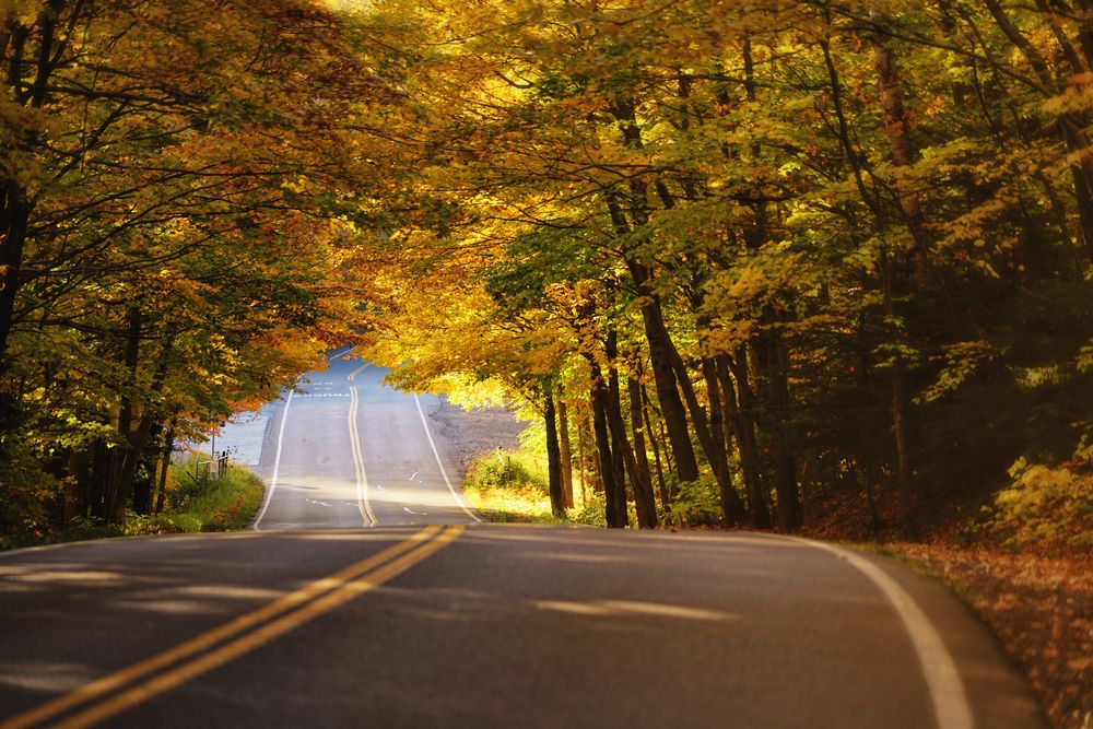 Strasse in den Herbst