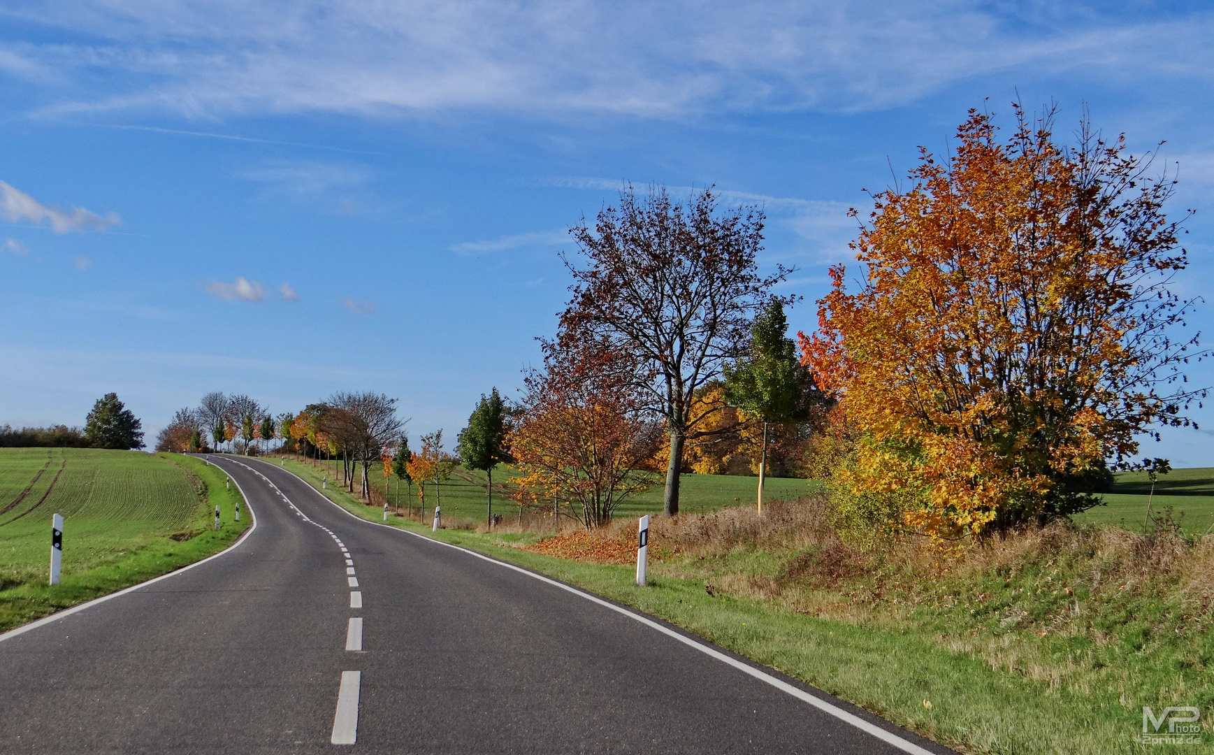 Straße in den Herbst ...