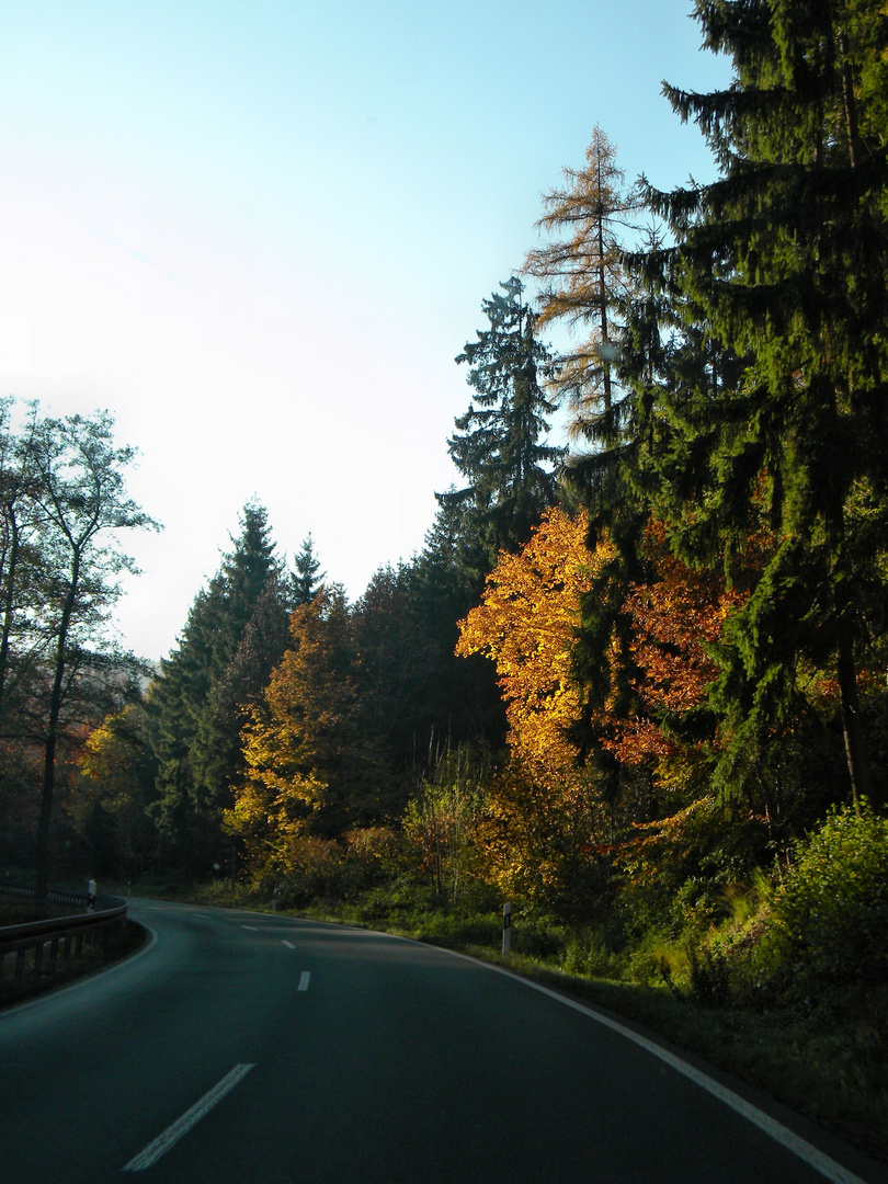 Straße in den Herbst