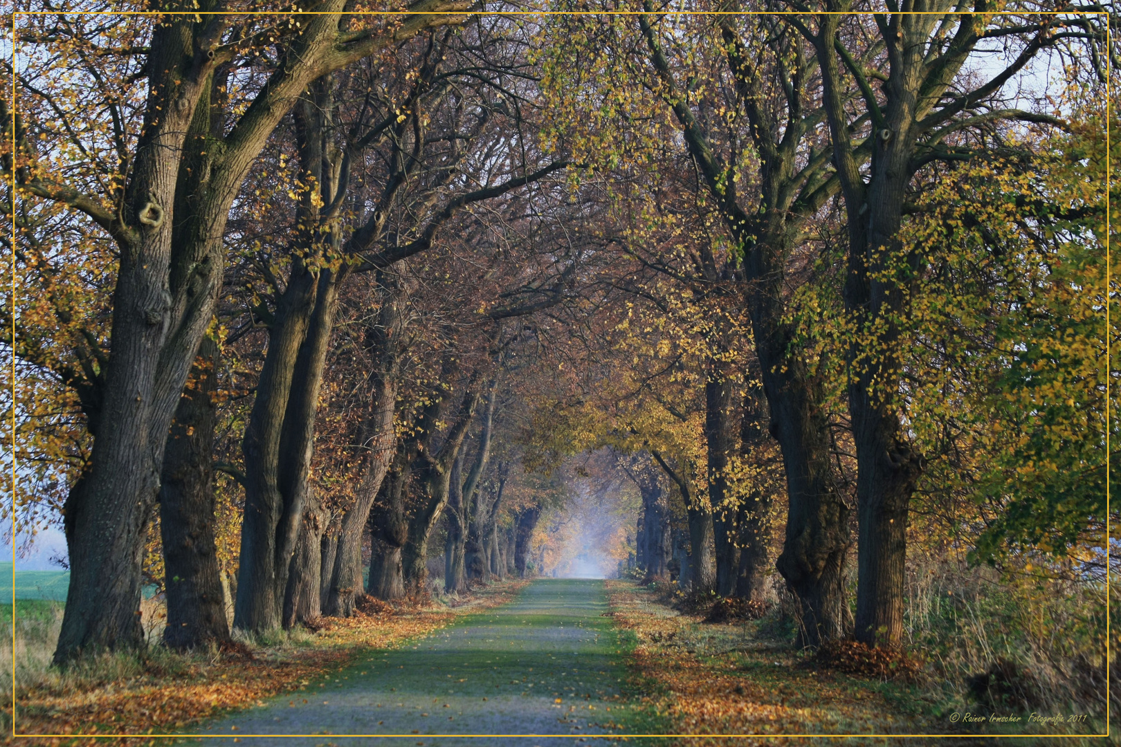 Strasse in den Herbst....