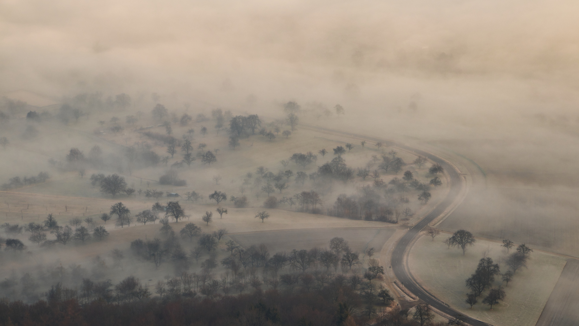 Straße in den Nebel