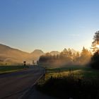 Straße in den Nebel