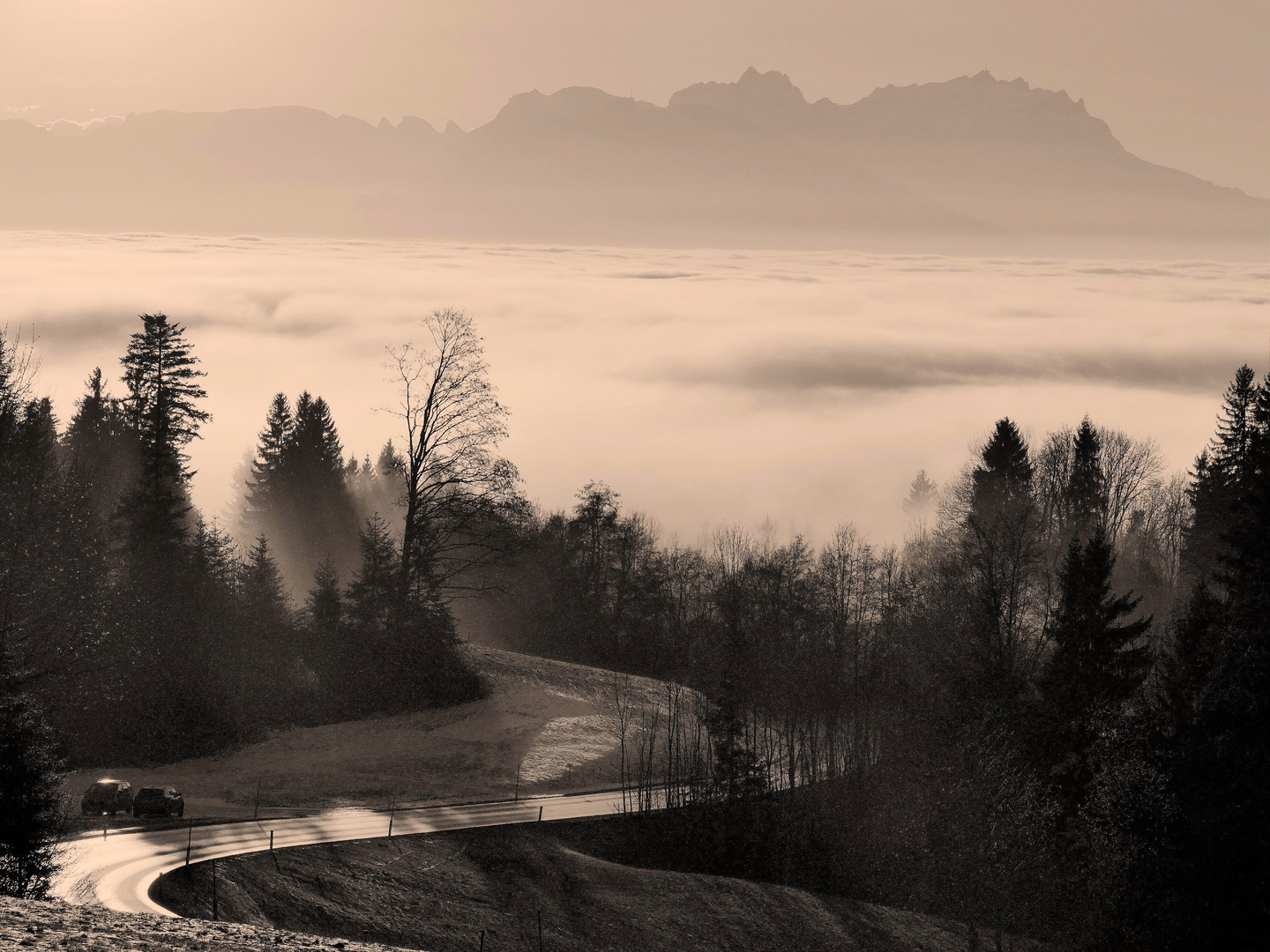 Strasse in den Nebel 