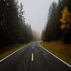 Straße in den Nebel