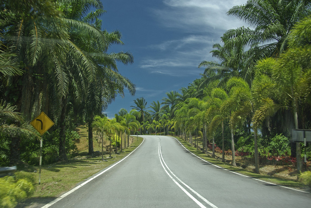 Strasse in der Nähe von Merang, West-Malaysia