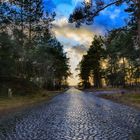 Strasse in der Senne als HDR