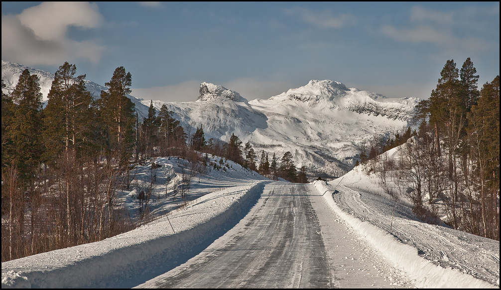 Strasse in die Wildnis...