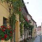 Straße in Haldensleben