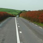 Straße in Irland