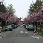 Straße in Karlsruhe