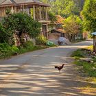 Straße in Luang Namtha