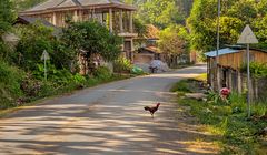 Straße in Luang Namtha