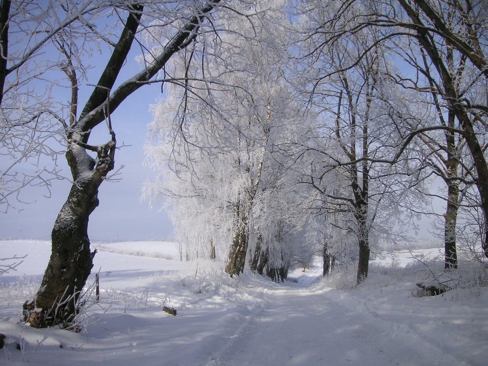 strasse in masuren