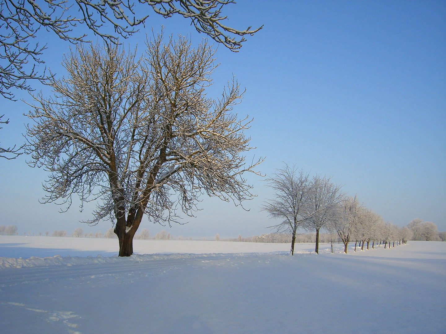 Straße in Meck Pomm im Winter 2010