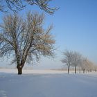 Straße in Meck Pomm im Winter 2010