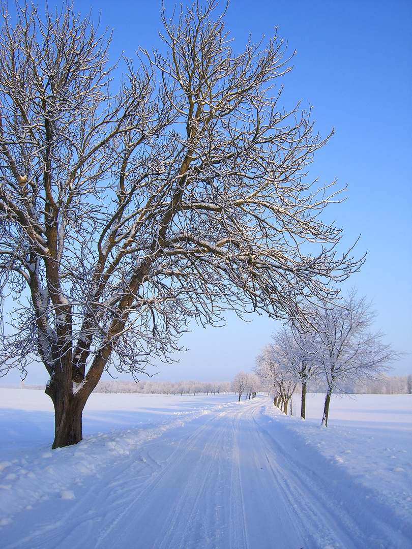 Straße in Meck Pomm im Winter 2010