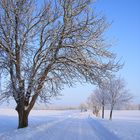 Straße in Meck Pomm im Winter 2010