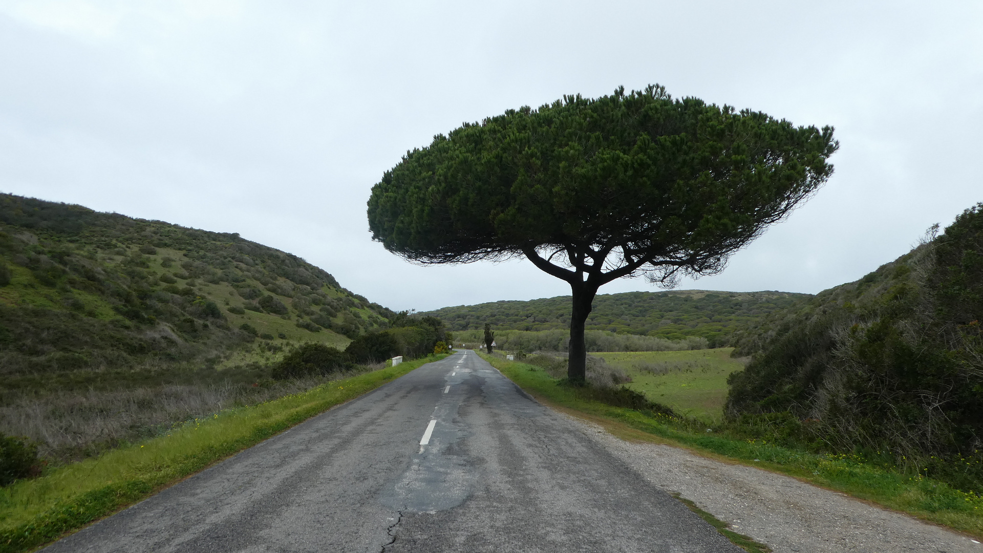 Straße in Portugal