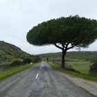 Straße in Portugal