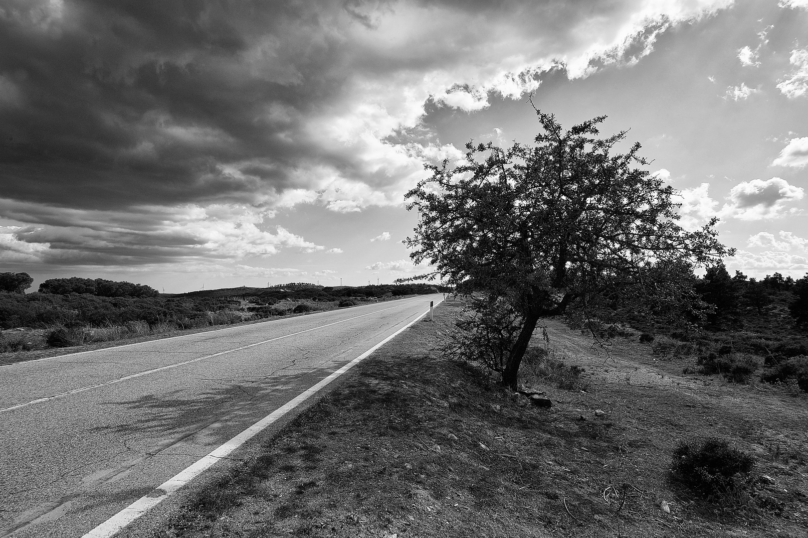 Straße in Sardinien