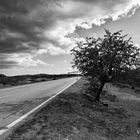 Straße in Sardinien