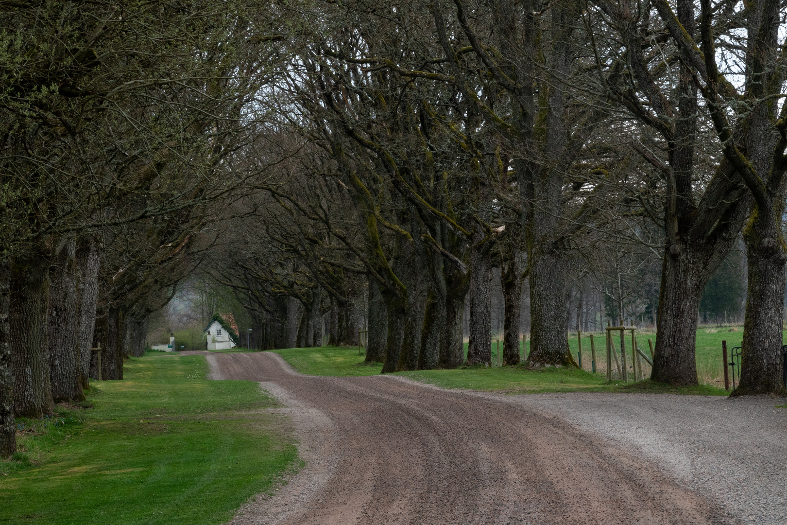 Straße in Südschweden