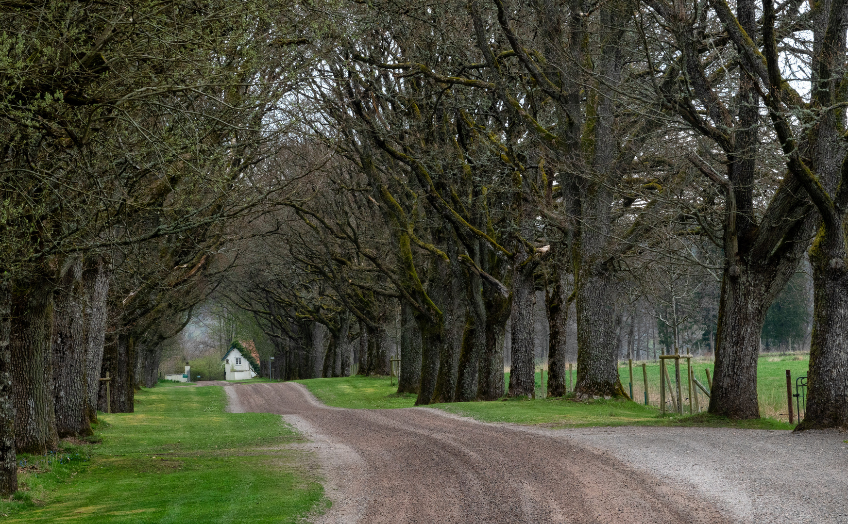 Straße in Südschweden-neu bearbetet.pg